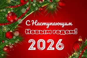 С наступающим Новым 2026 годом!